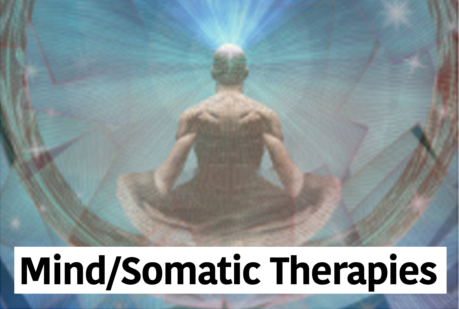 Mind   Somatic Therapies 